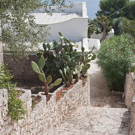Casa Lisetta * 디소